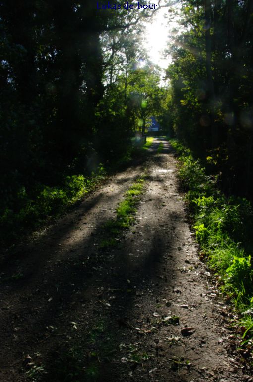tour 2010 (31).jpg - en weer terug, tegen de zon in  naar De Ring